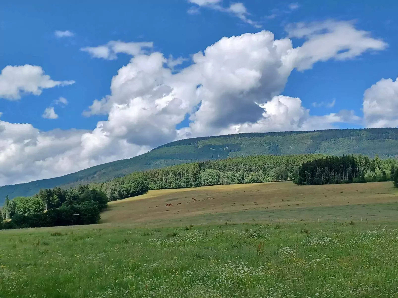 Dolní Lysečiny-Omgeving