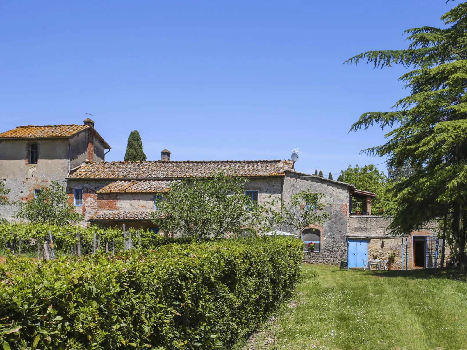 Fattoria Petraglia - Cedro-Buiten