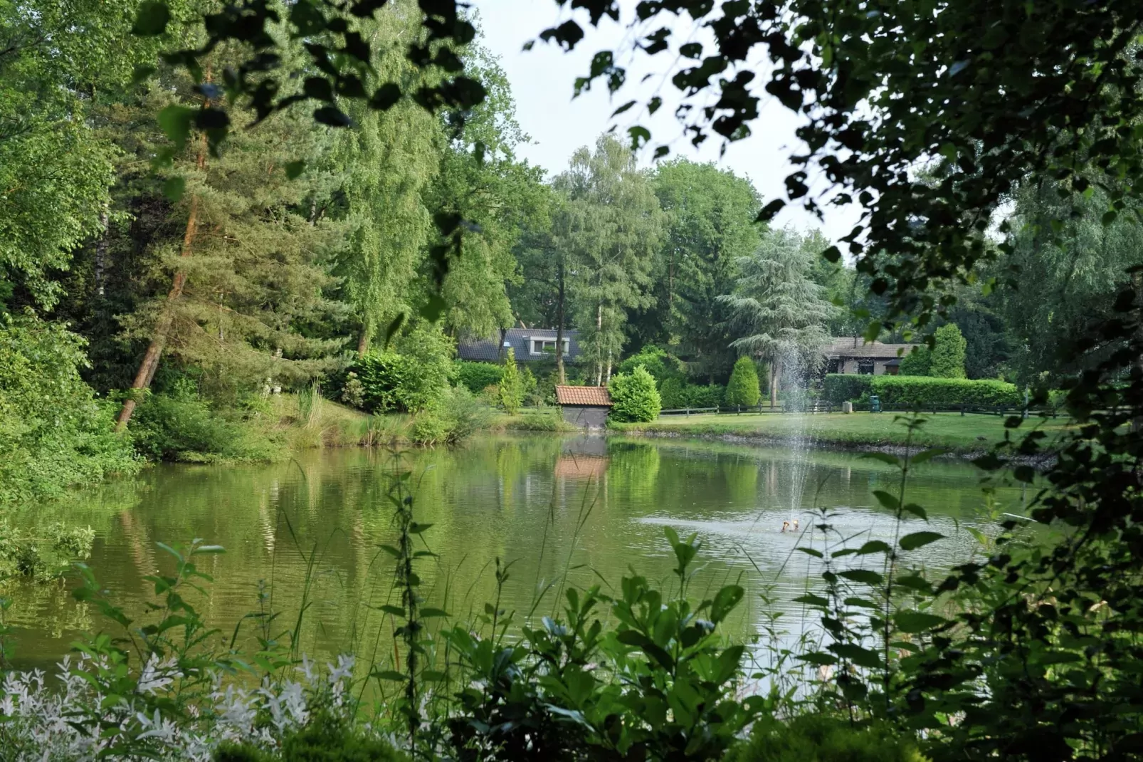 Parc de Kievit 6-Gebieden zomer 1km