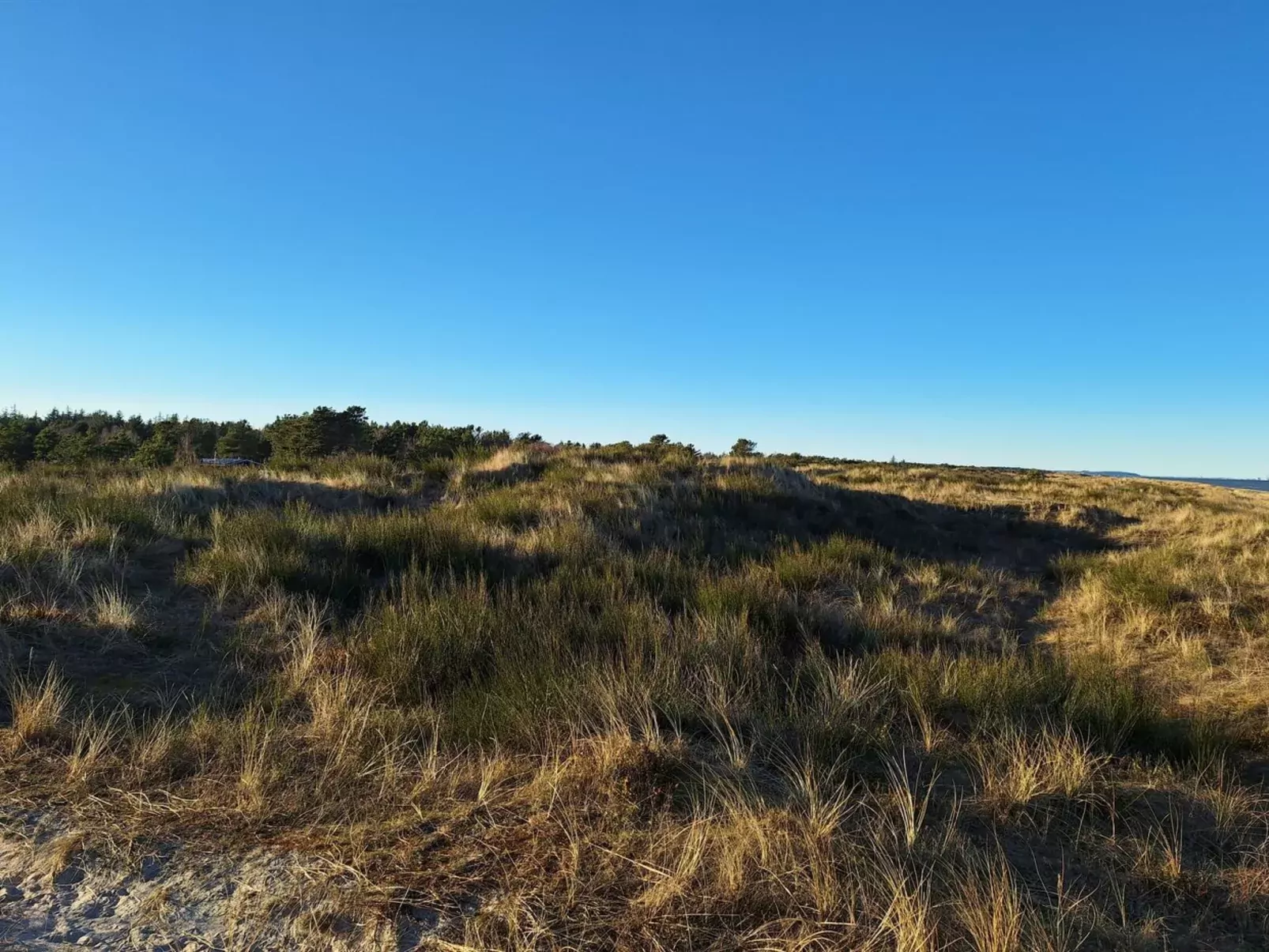 "Mads" - 700m from the sea