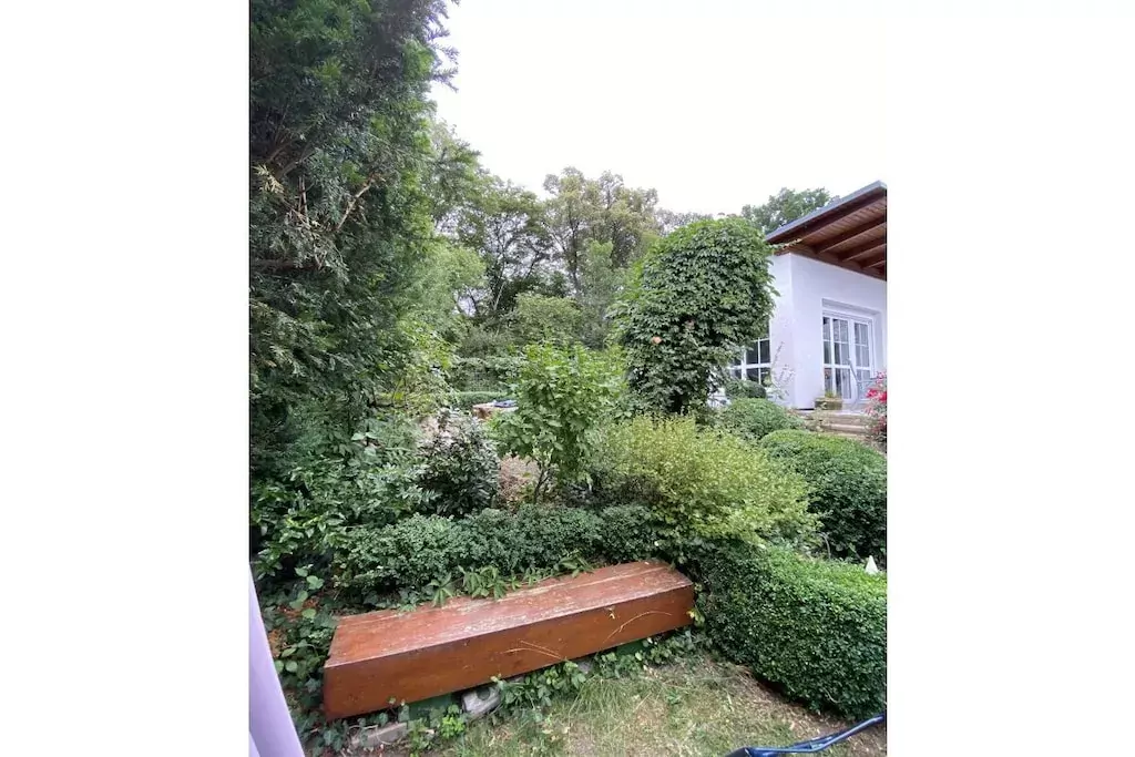 438211-Niet-getagd