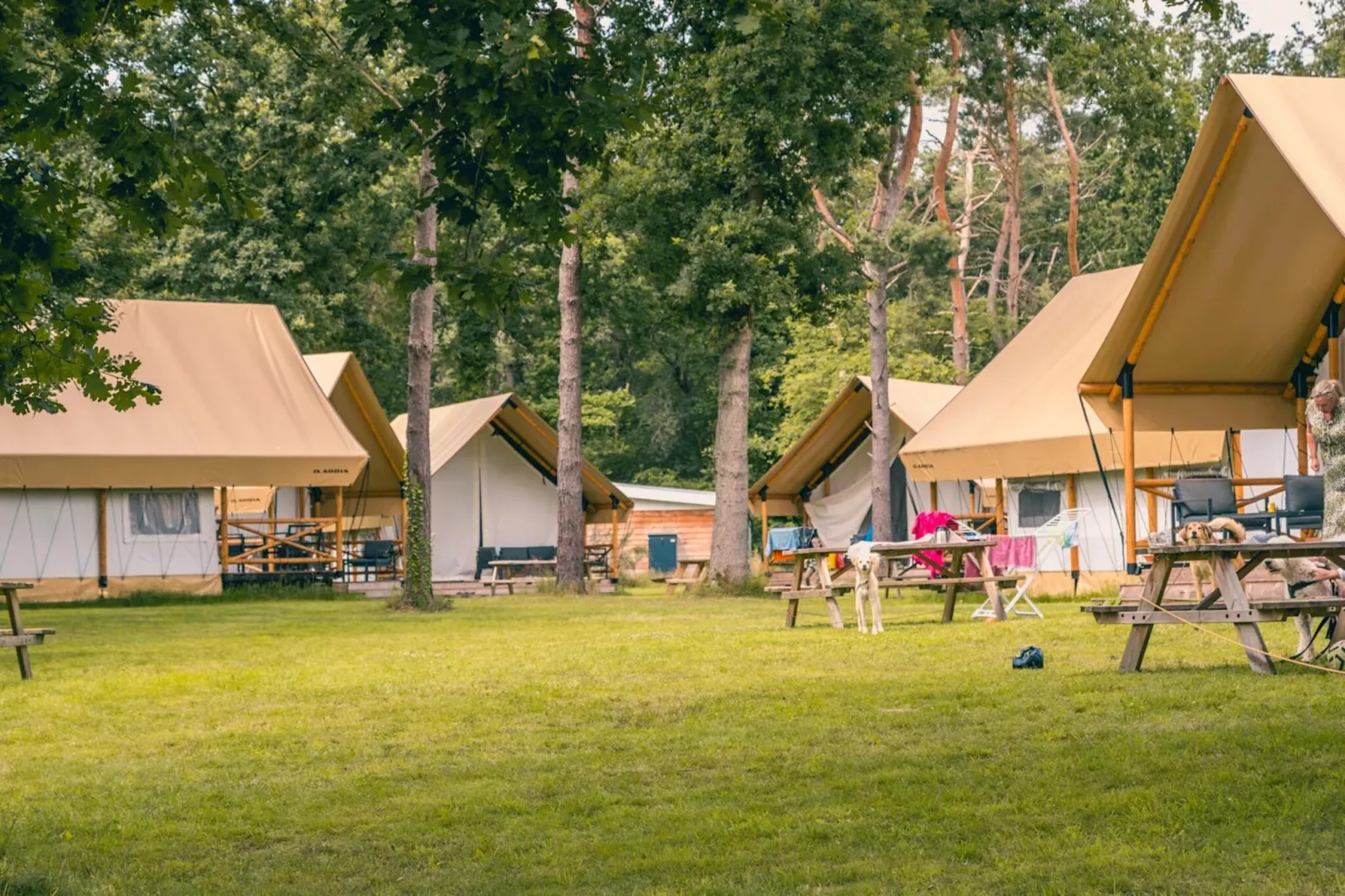 Resort Reestervallei 6-Parkfaciliteiten