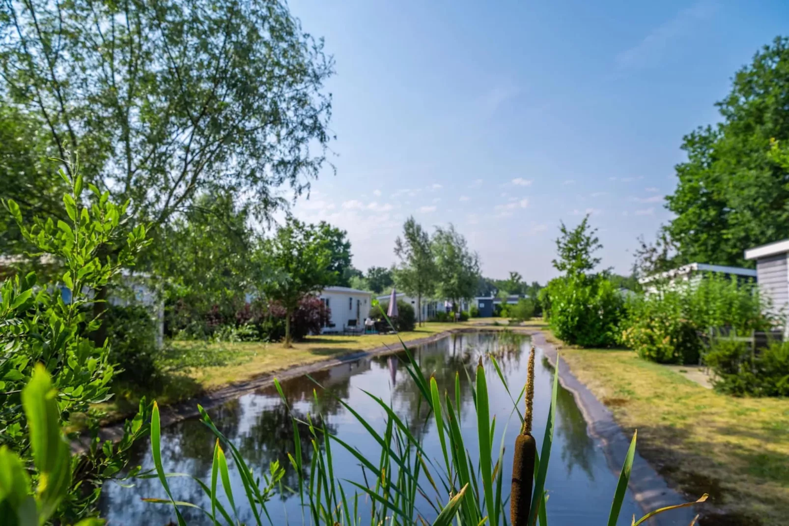 Resort Reestervallei 4-Parkfaciliteiten