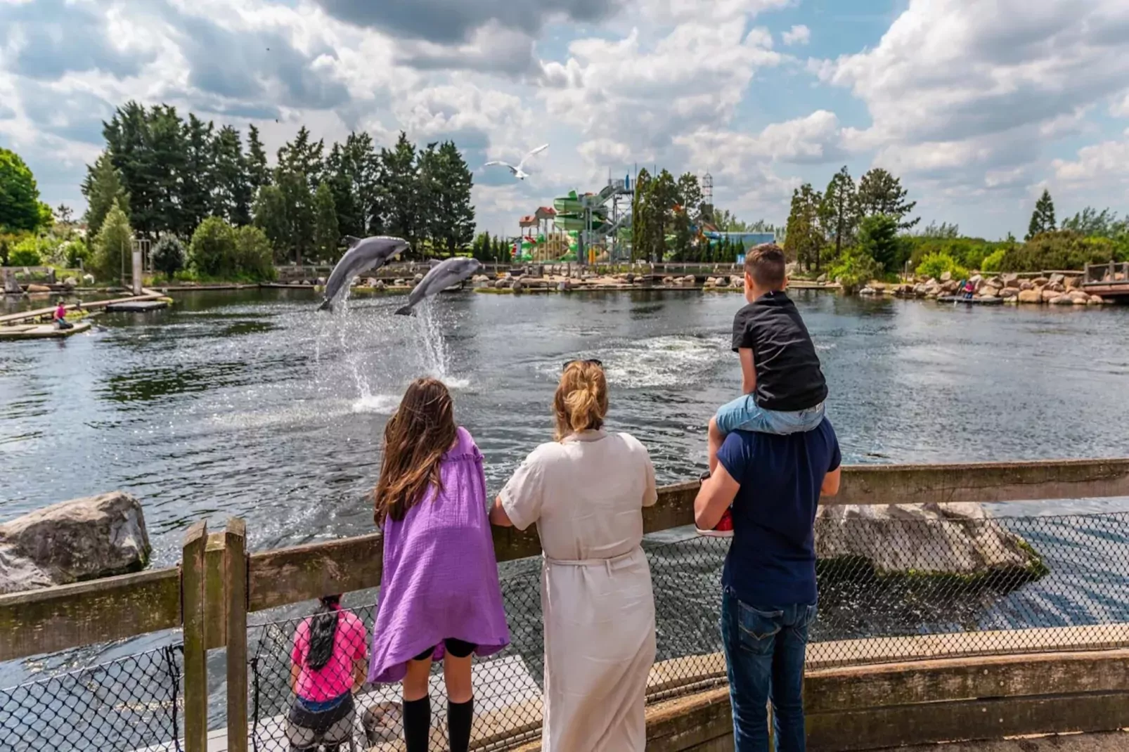 Resort Veluwemeer 1-Gebieden zomer 20km