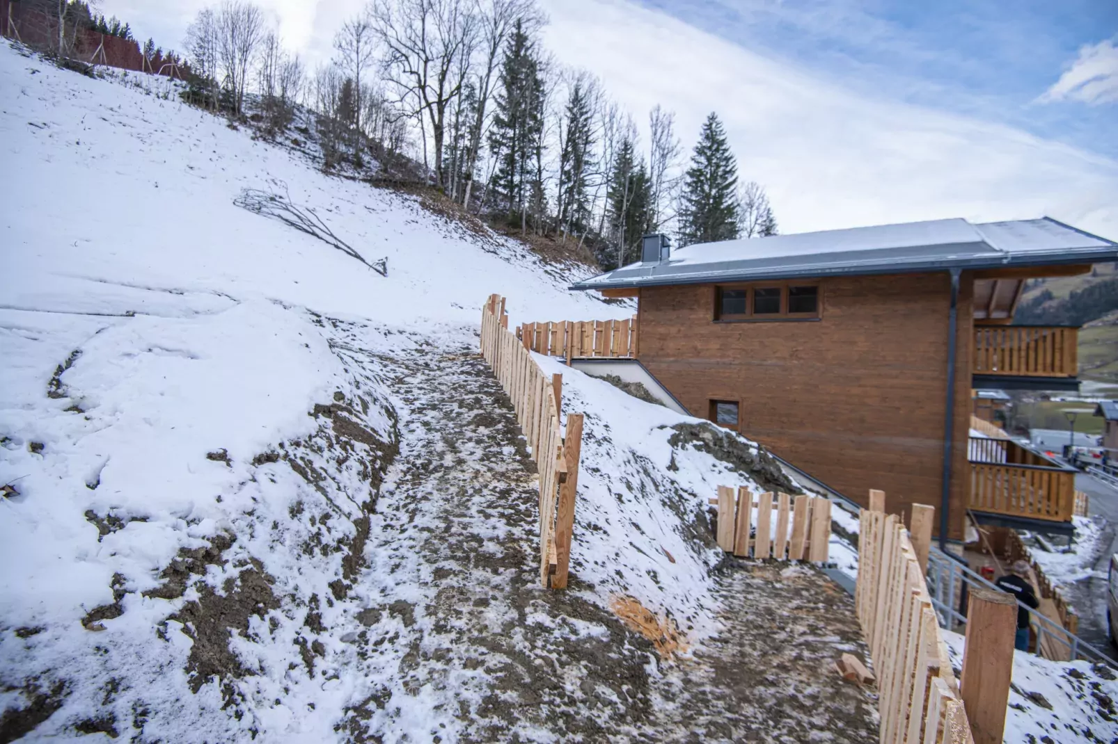 Premium Chalet-Buitenkant zomer