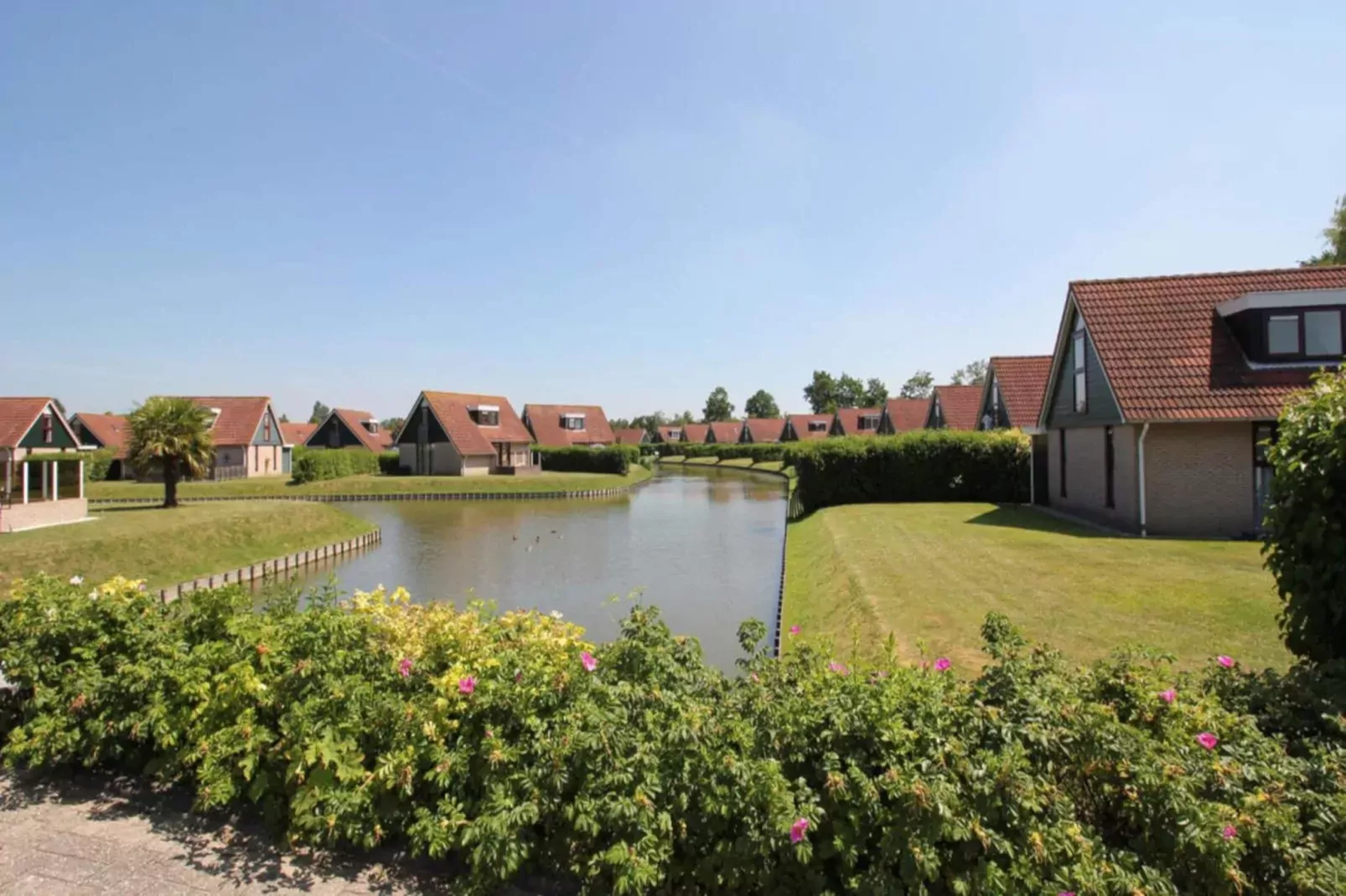 Wellness 6p-Gebieden zomer 1km