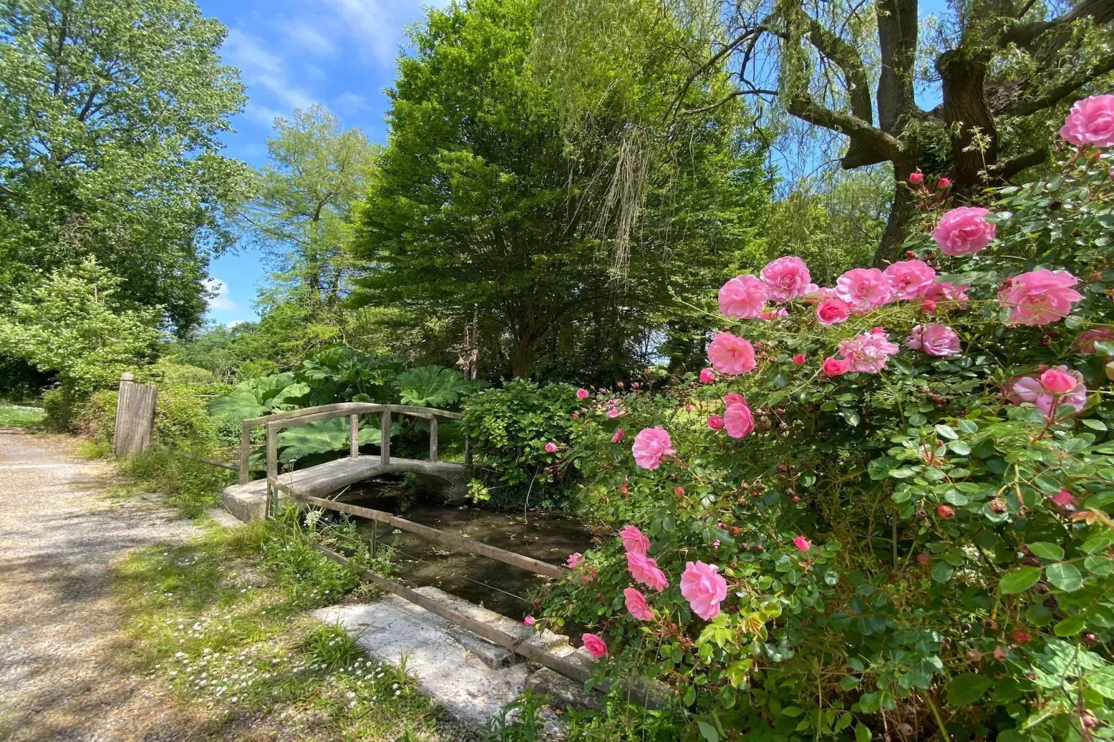 Semi-detached house St Sauveur-le-Vicomte--Tuinen zomer