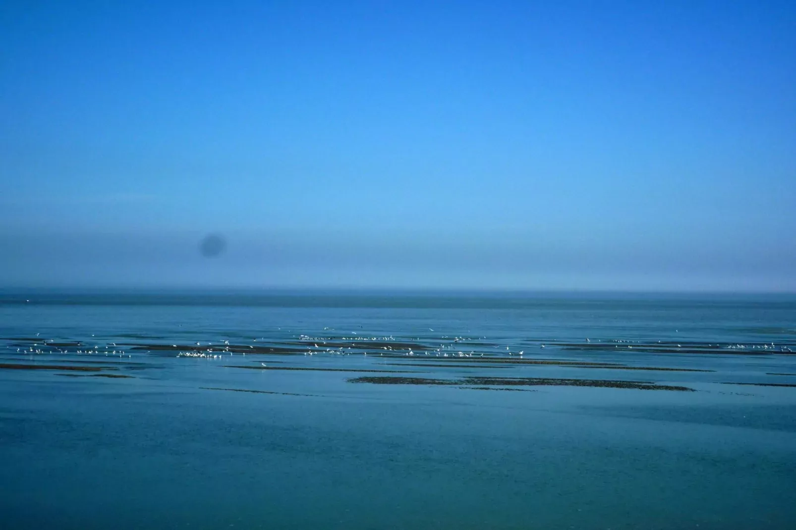 Holiday home Cayeux-sur-Mer-Gebieden zomer 1km