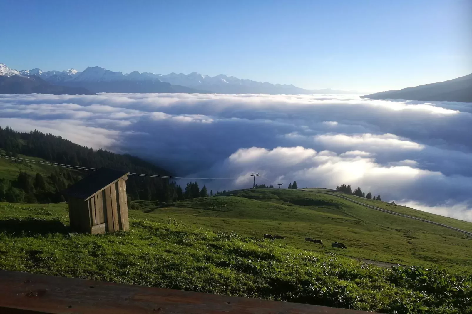 Almhütte Gipfelblick-Uitzicht zomer