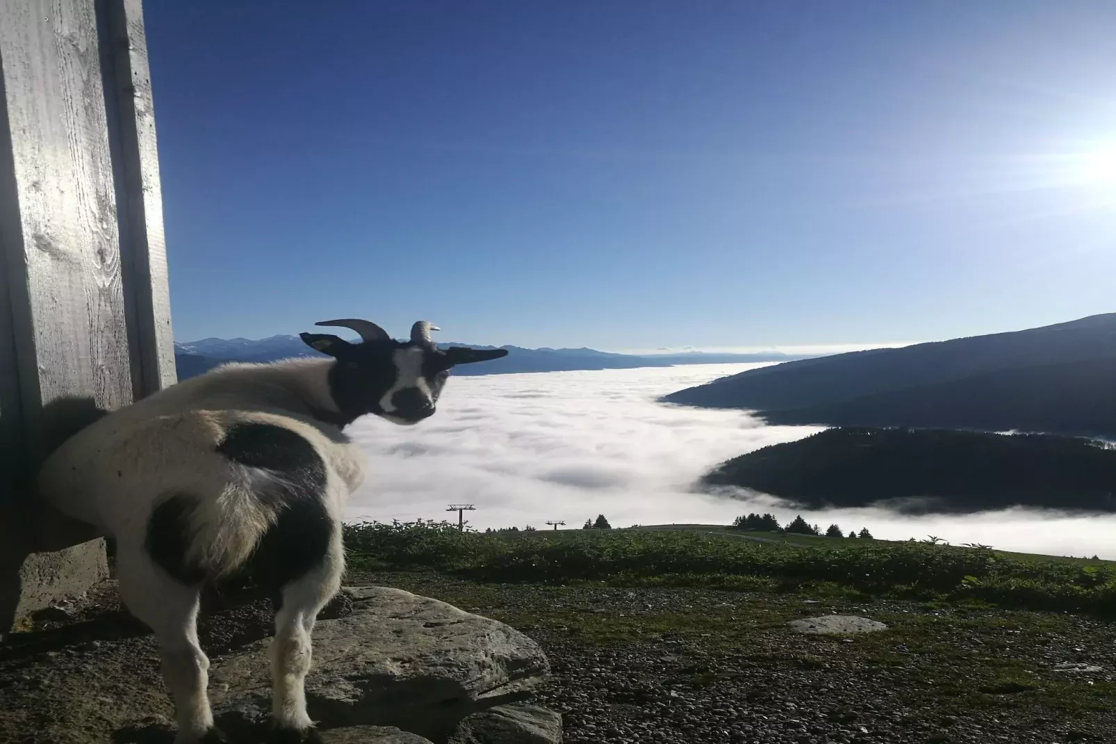 Almhütte Gipfelblick-Uitzicht zomer