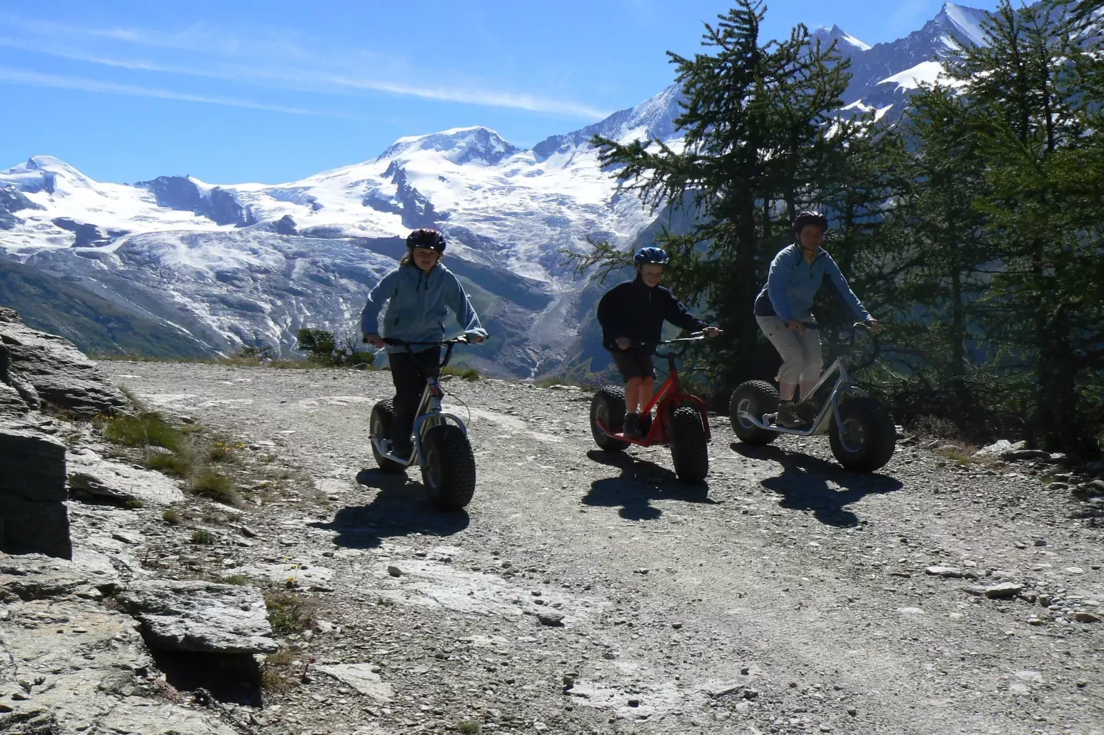 Haus Alpenstern Wohnung Distel-Gebieden zomer 5km