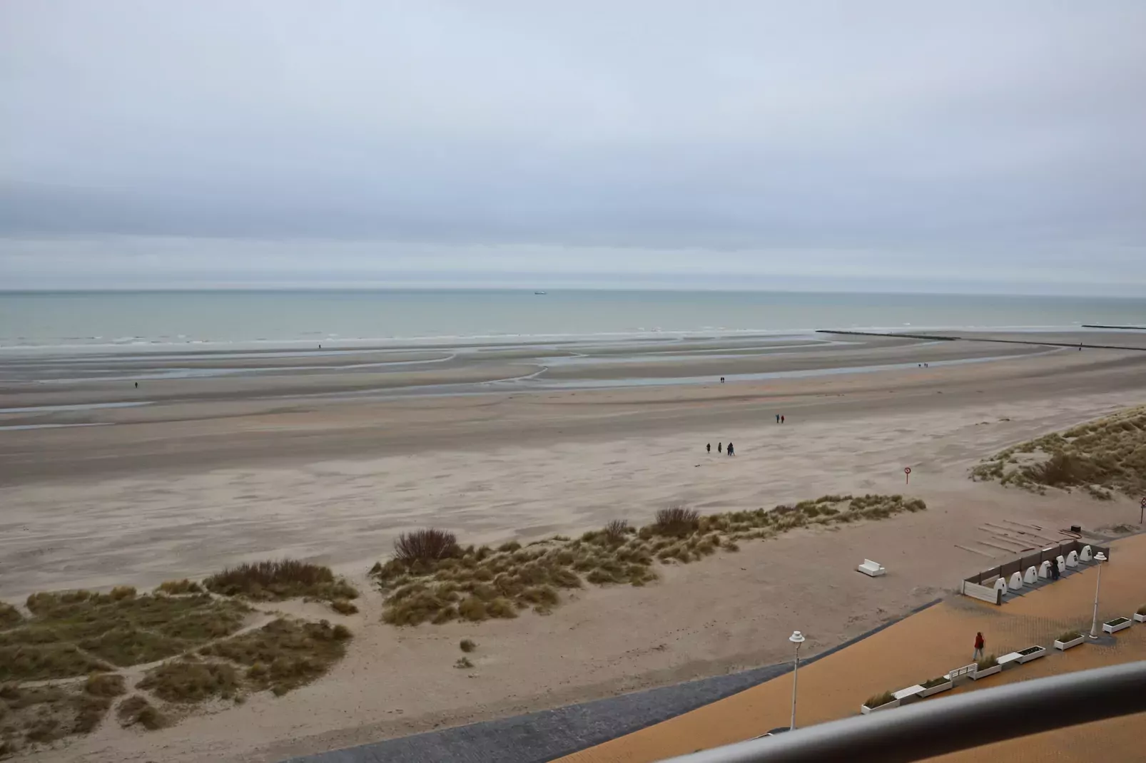 SEASIGHT A 0704GAR-Gebieden zomer 5km