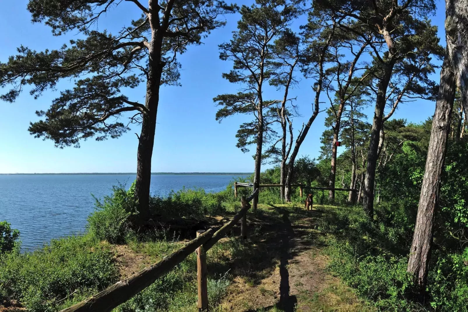 Holiday flat Lubin-Gebieden zomer 5km