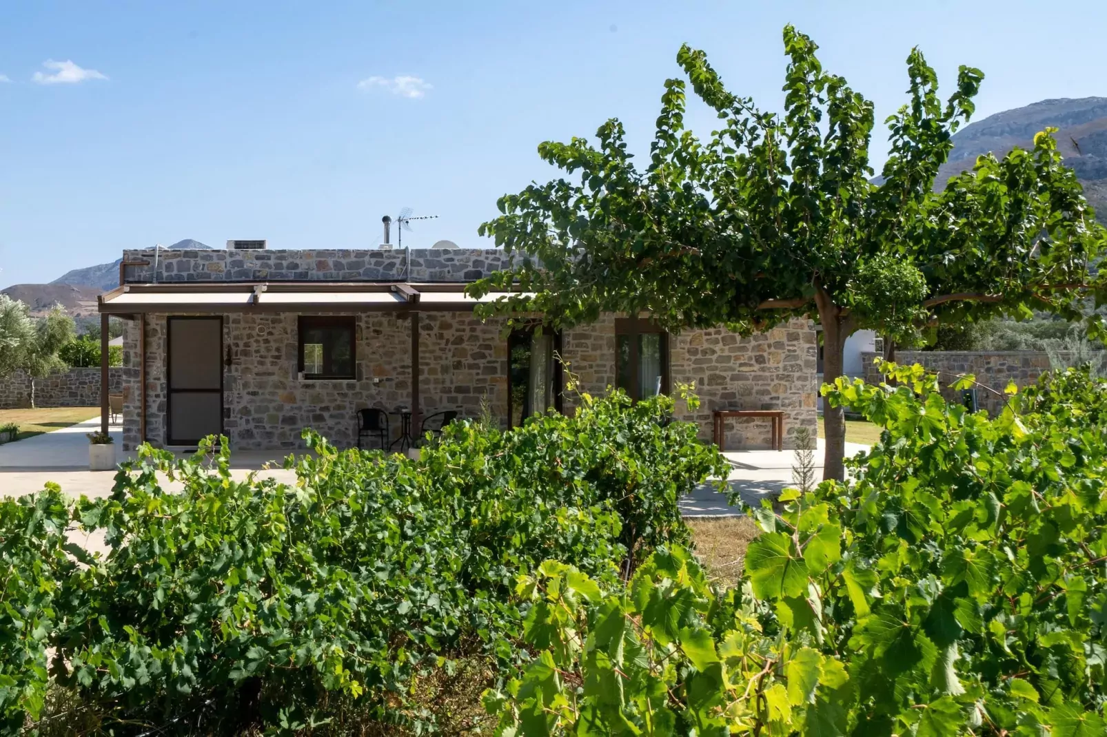Villa Liatiko with private pool-Tuinen zomer
