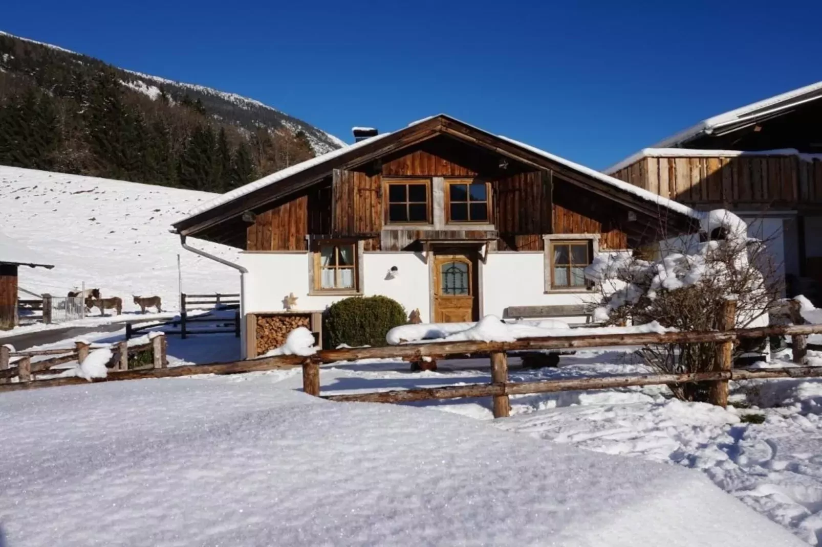 Roßweid Huette-Exterieur winter