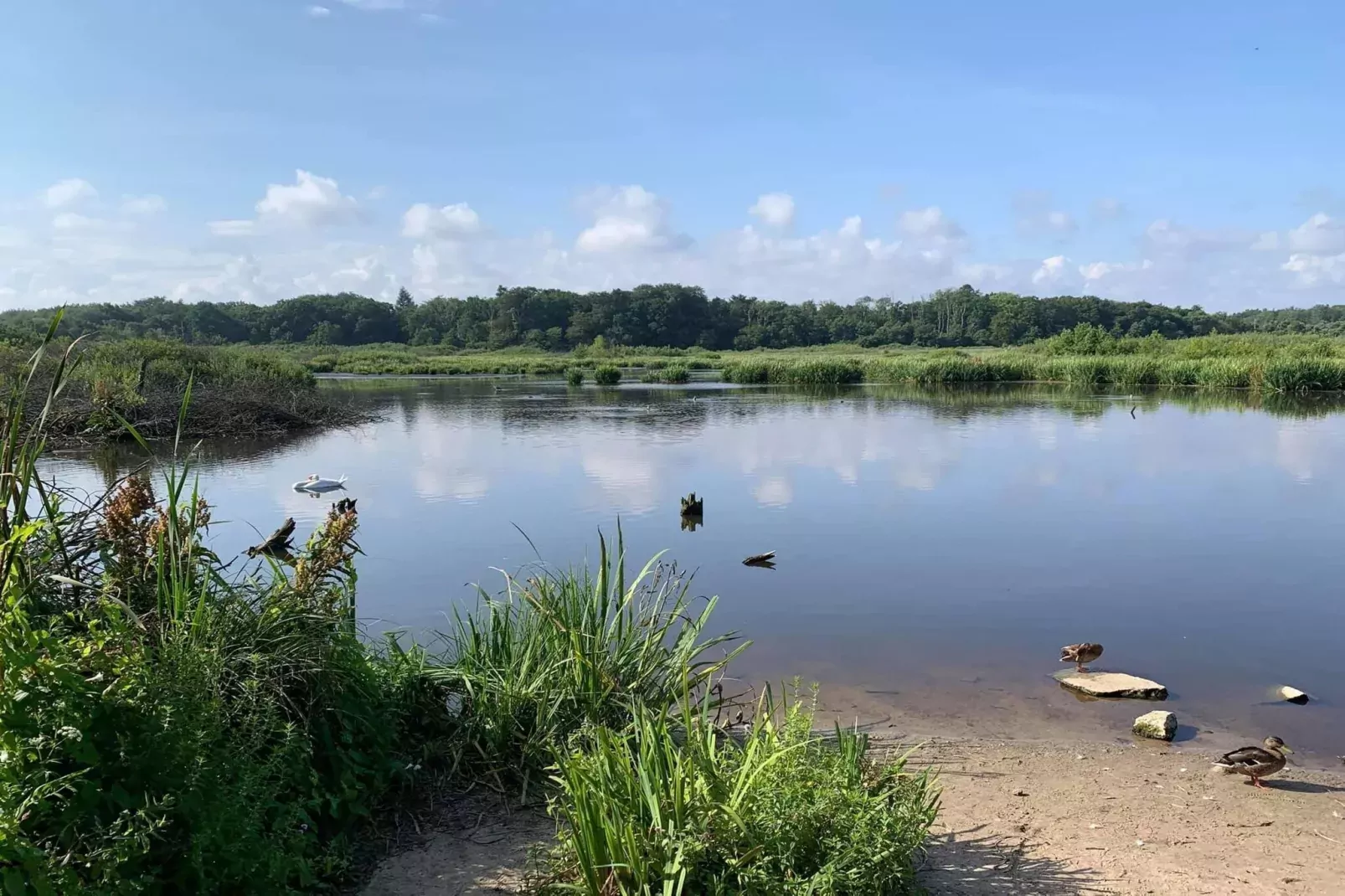 Domek piętrowy TYP C Ustronie Morskie-Uitzicht zomer