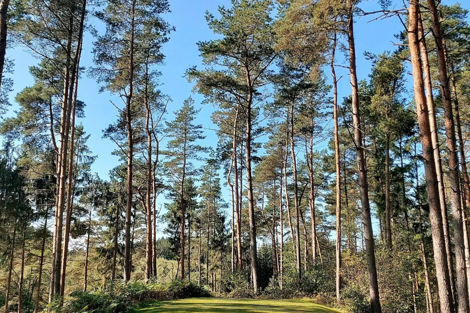 6 persoons vakantie huis in Gjern-By Traum