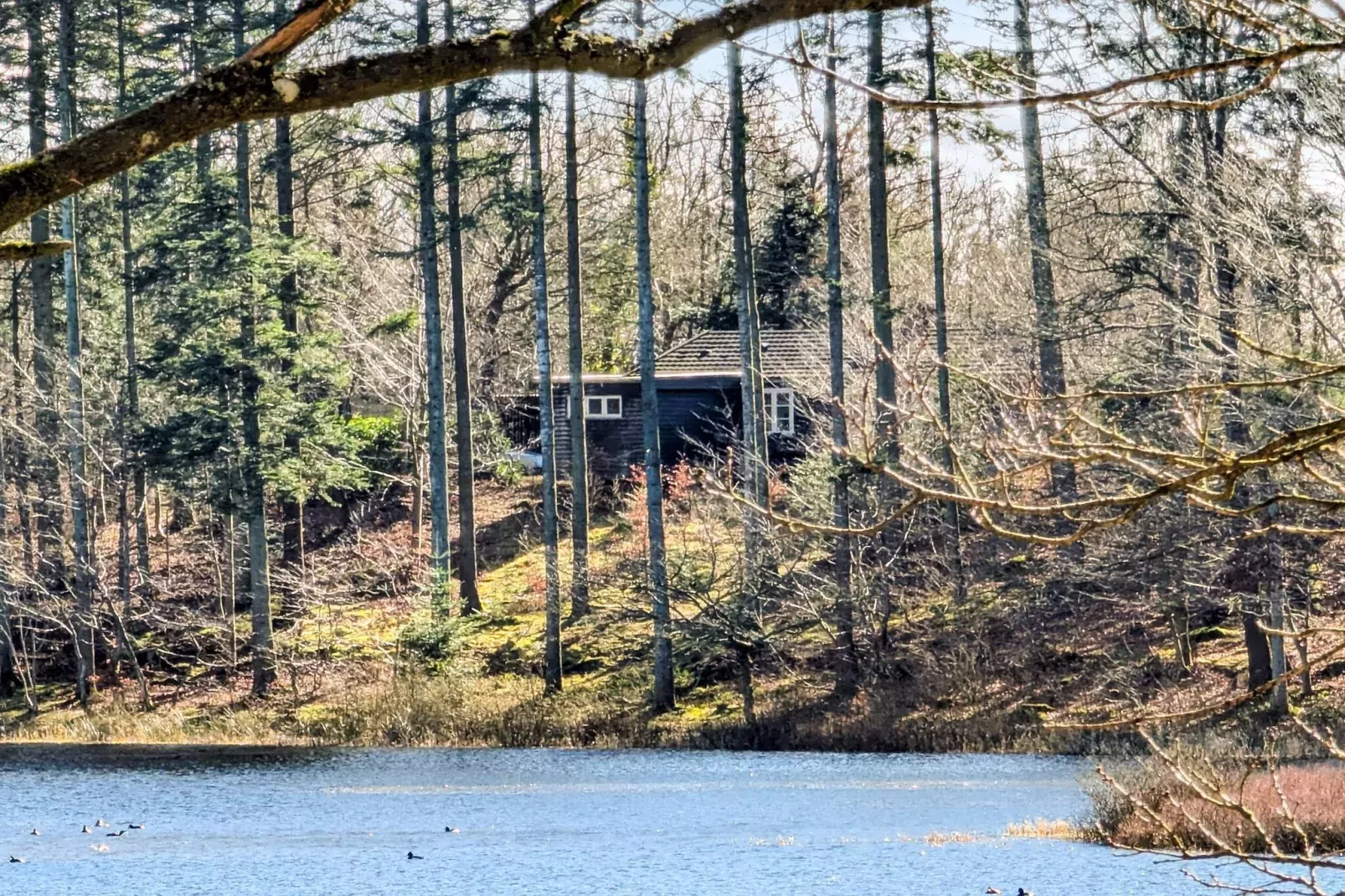 4 persoons vakantie huis in Aars-By Traum-Buitenlucht