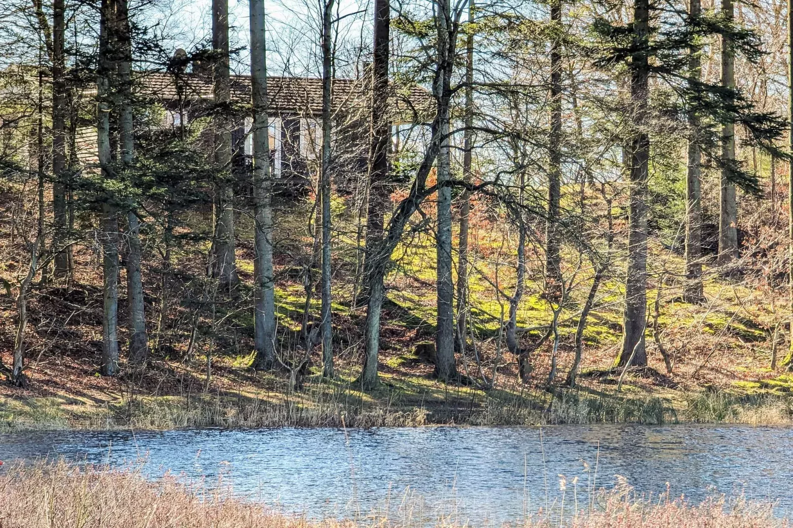4 persoons vakantie huis in Aars-By Traum-Buitenlucht