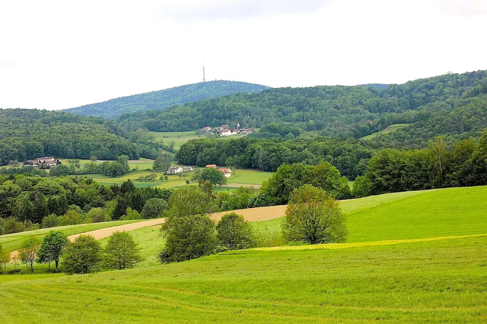 	Holiday flats Haus am Wald Zenting-Wohnung für 2 Personen-Gebieden zomer 5km