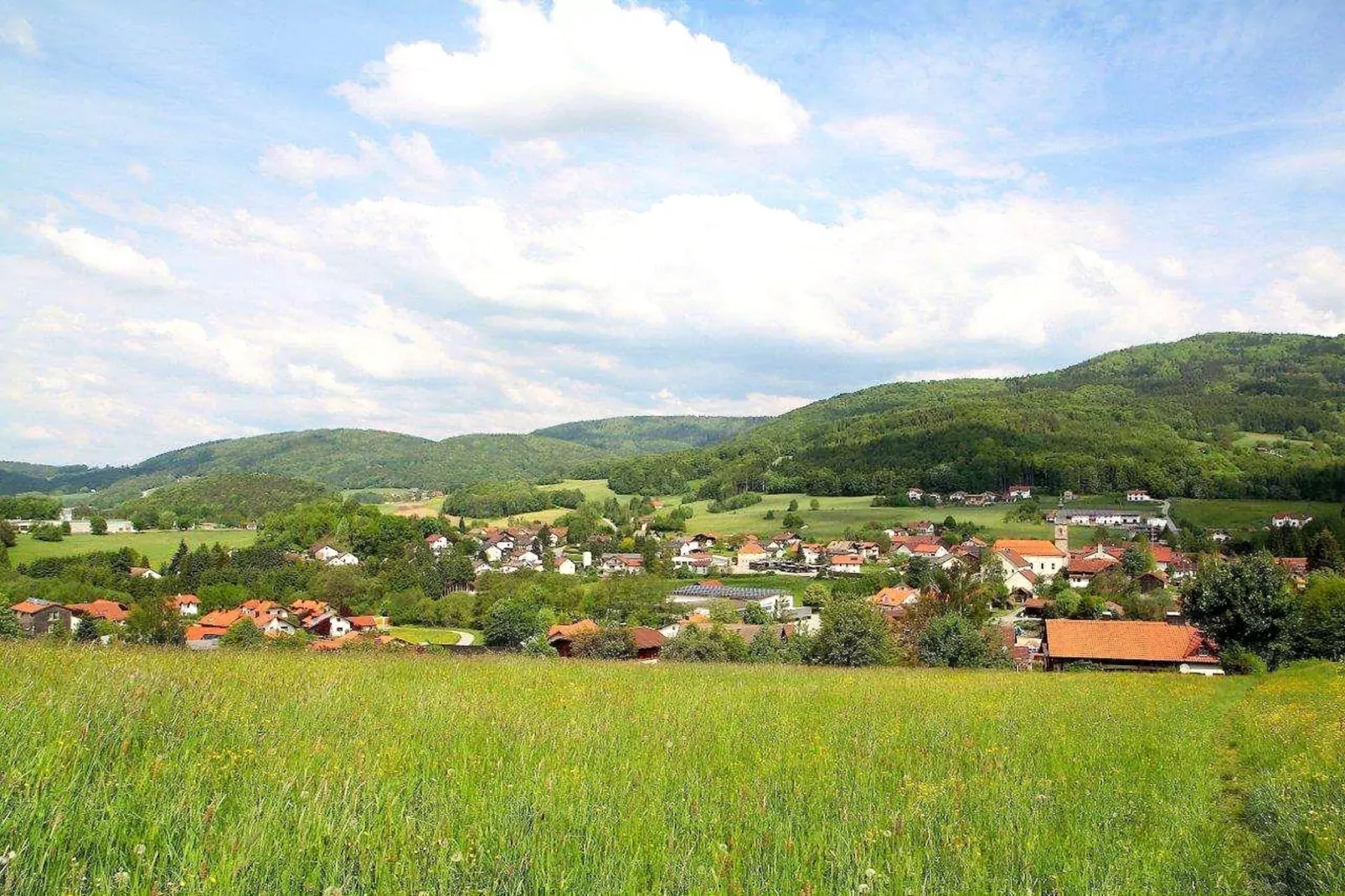 	Holiday flats Haus am Wald Zenting-Wohnung für 2 Personen-Gebieden zomer 5km