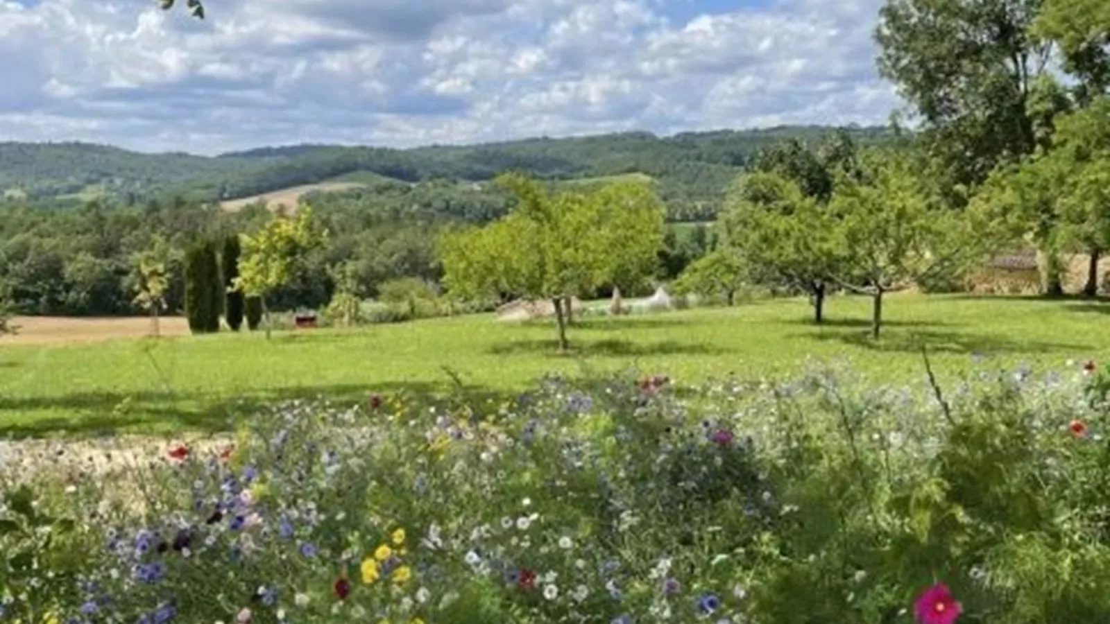 Grande gite Saint Martin le Redon-Uitzicht zomer