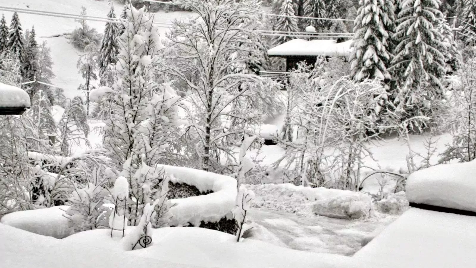 Im Wald-Uitzicht winter