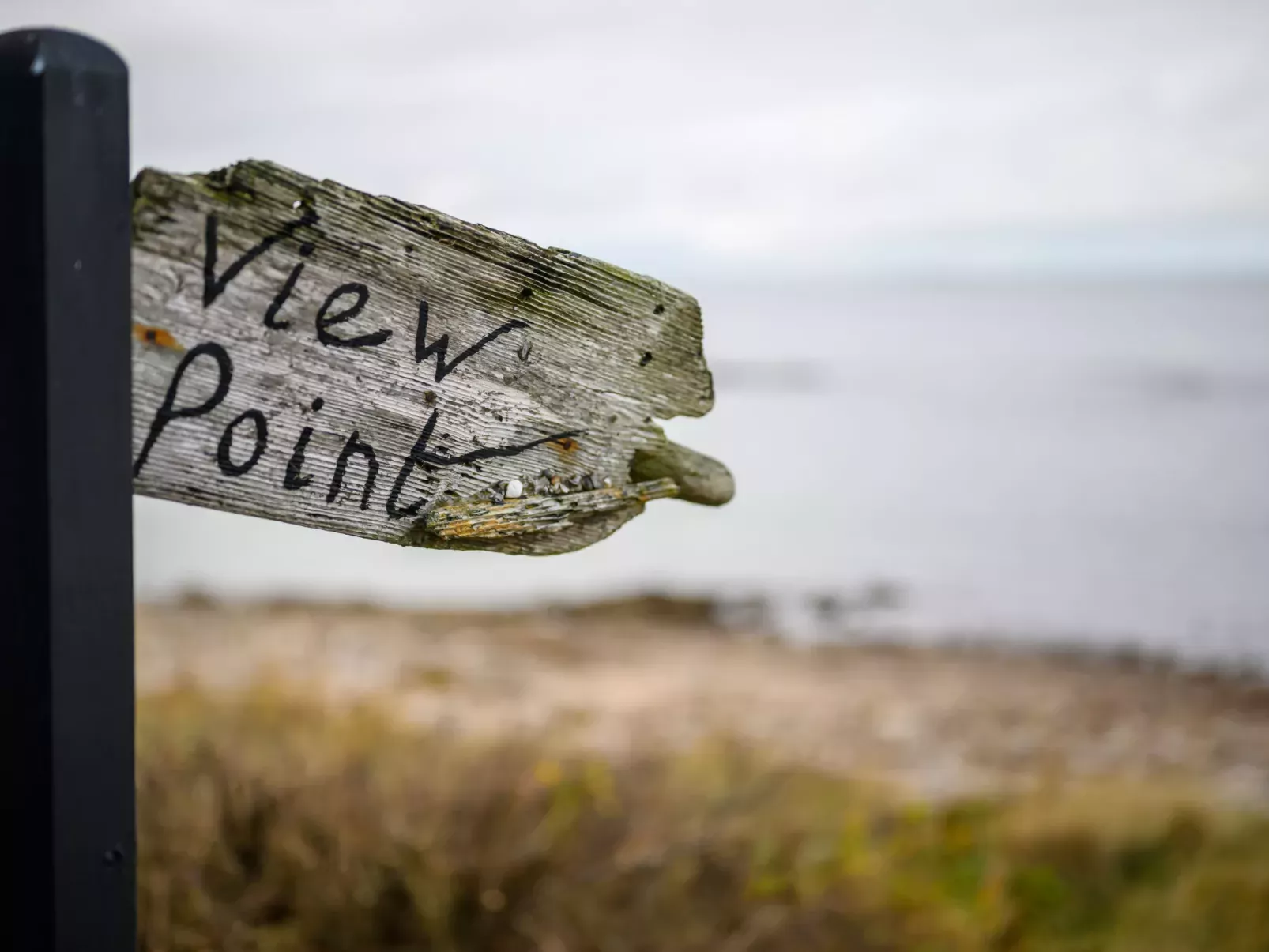 Viewpoint-Buiten
