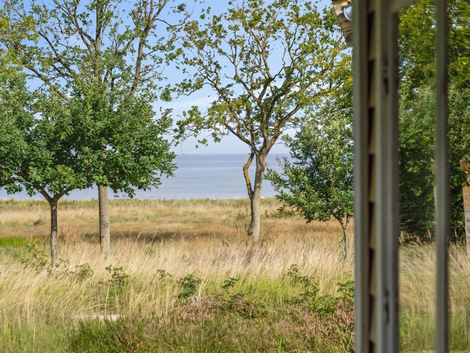 "Alberta" - 100m from the sea