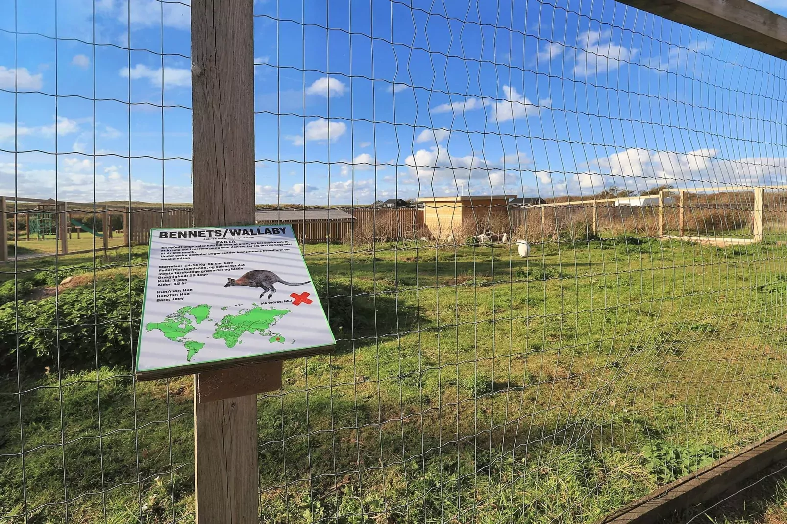 Lichte hutten met terras -- By Traum Ferienwohnungen-Uitzicht