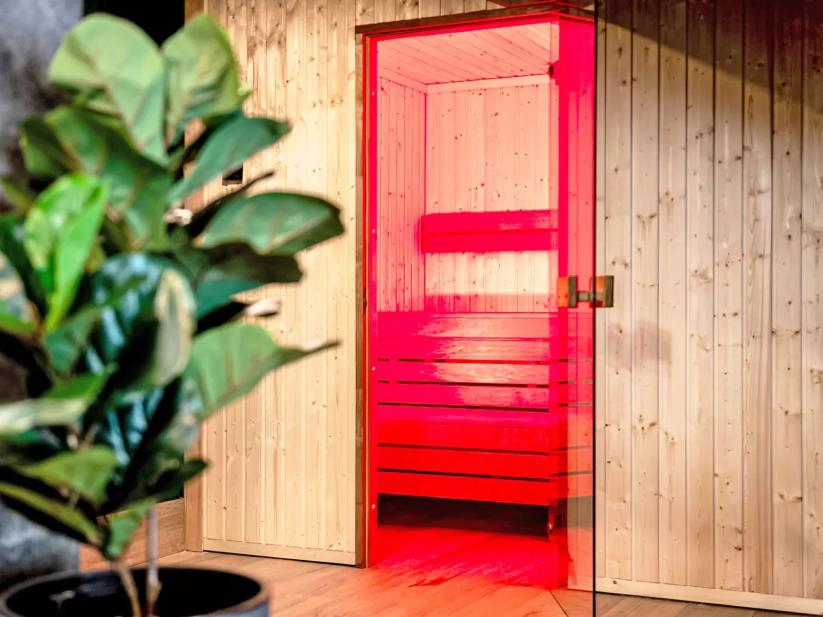 Ostoja Parku Narodowego-Binnen