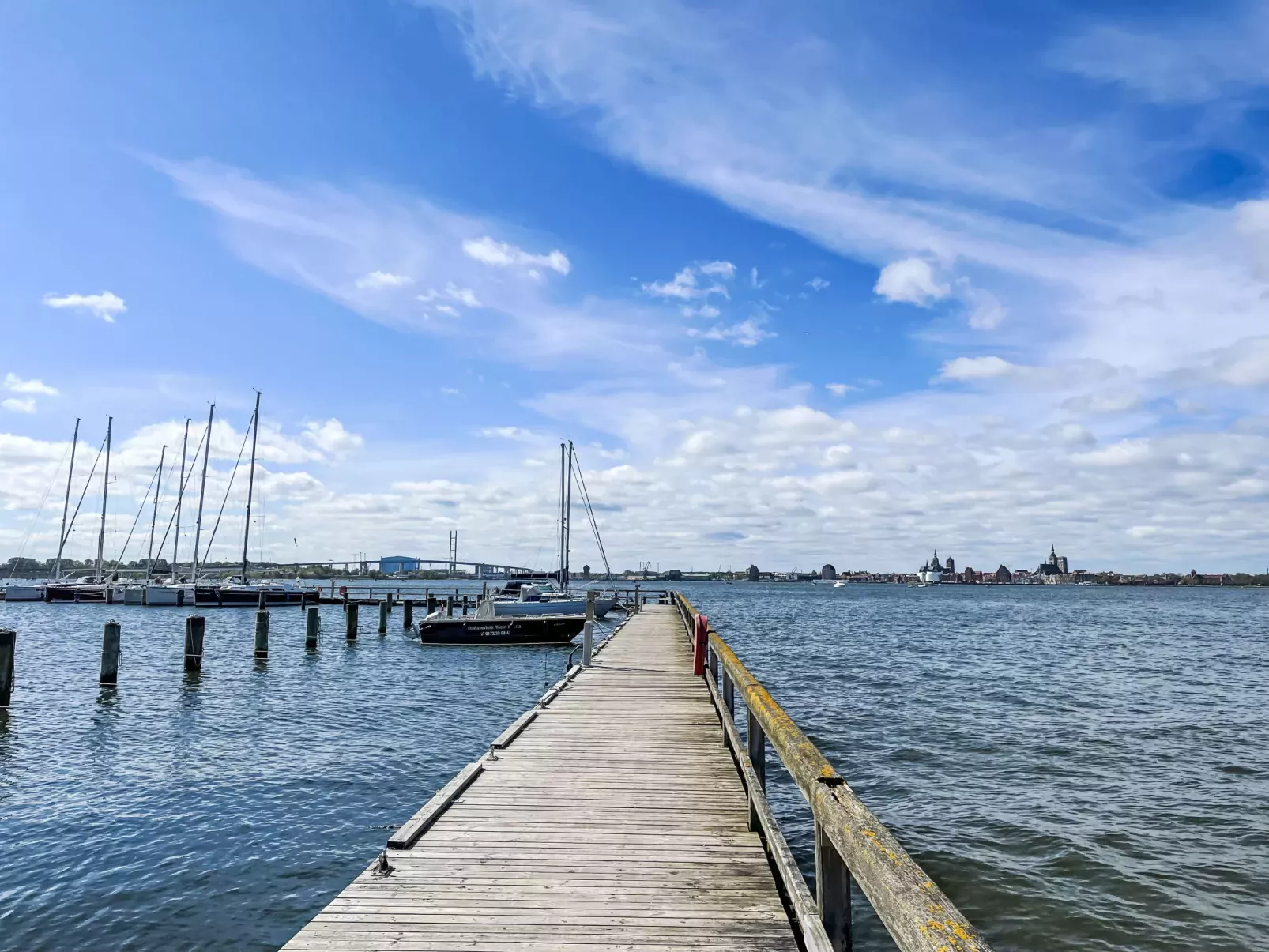 Strandläufer-Omgeving