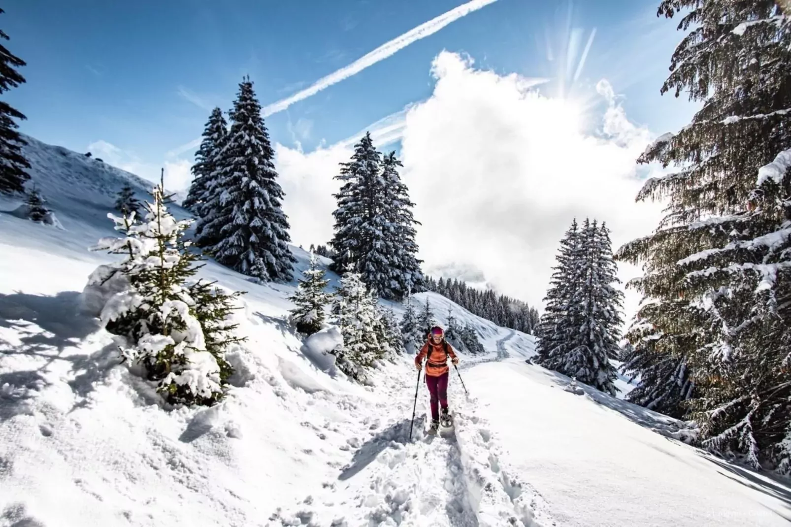 Chalet Madeline MD25 SUN & VIEW 6 pers.-Image-tags.