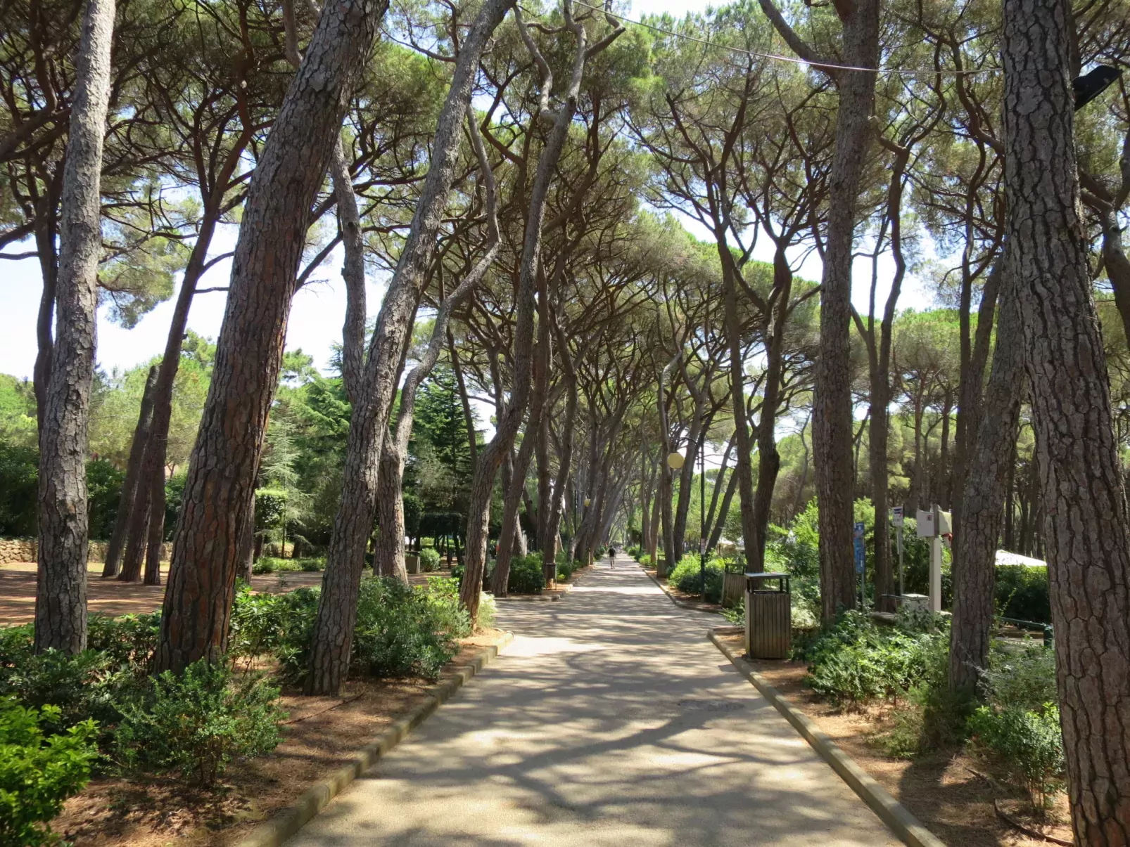 Eco del mare-Omgeving