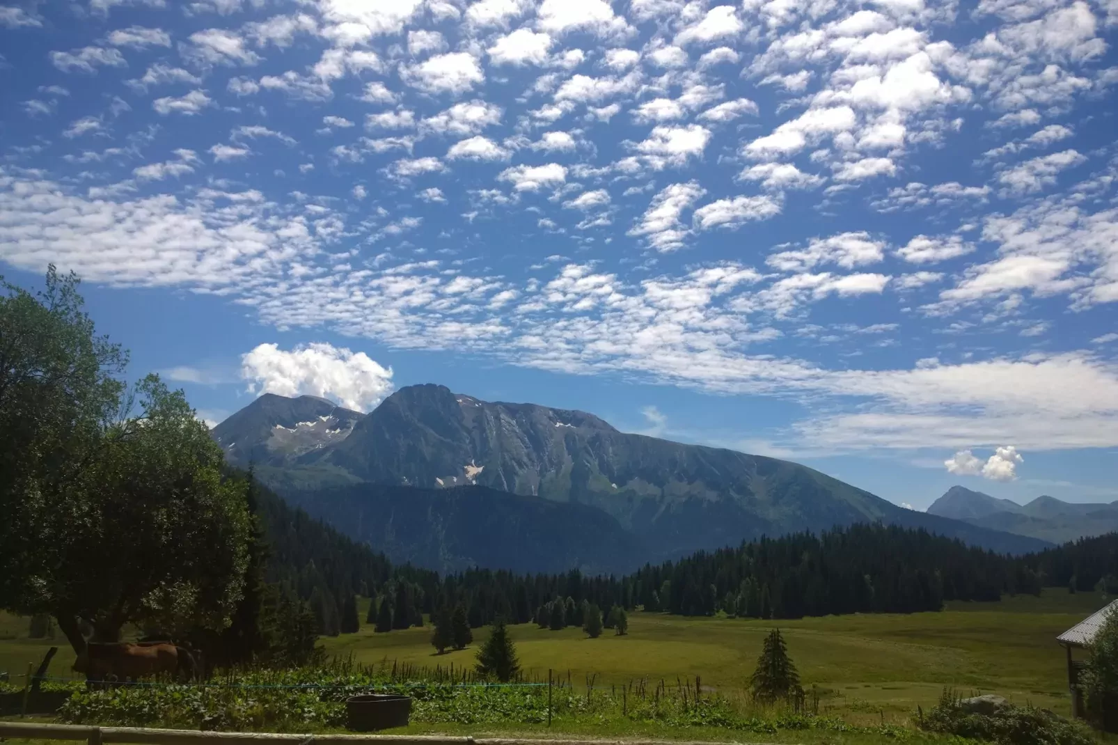 Vercors 1 034-FAMILLE & MONTAGNE studio 4 pers-Niet-getagd