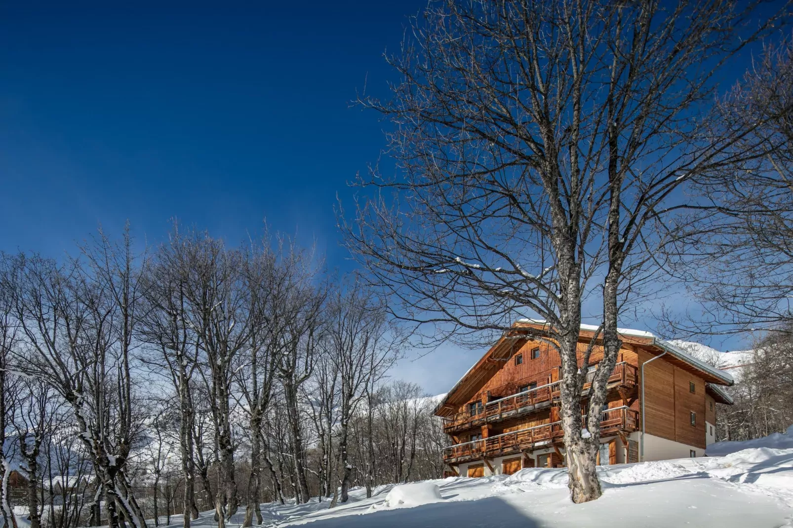 Les Grizzlis N°22 - 2P4-Exterieur winter