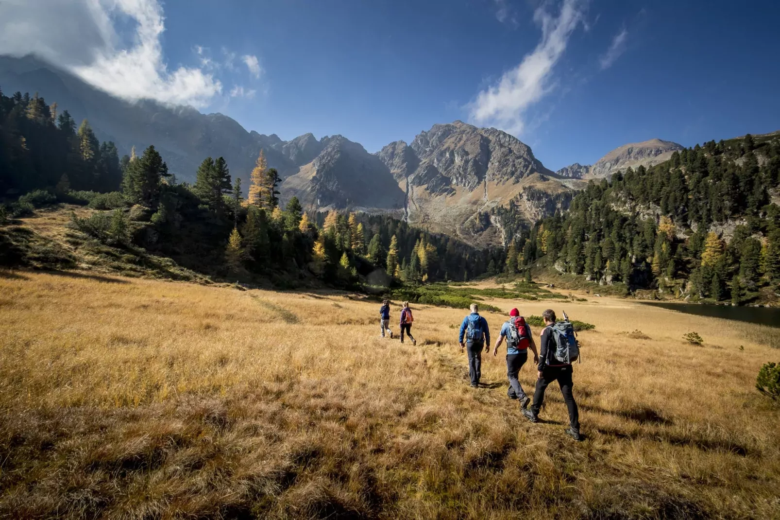 Rehfugium Lachtal 8-Gebieden zomer 20km