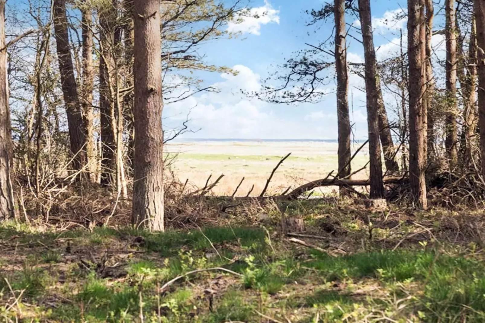 Rustig toevluchtsoord in Lyngsa -- By Traum Ferienwohnungen
