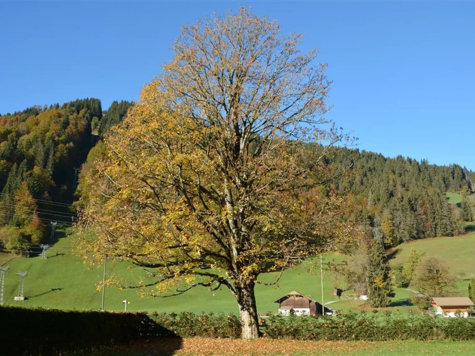 Oberland Nr. 19-Buiten