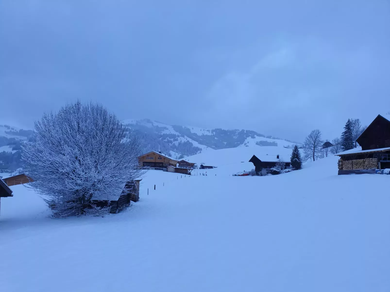 Aerneli, Chalet-Buiten