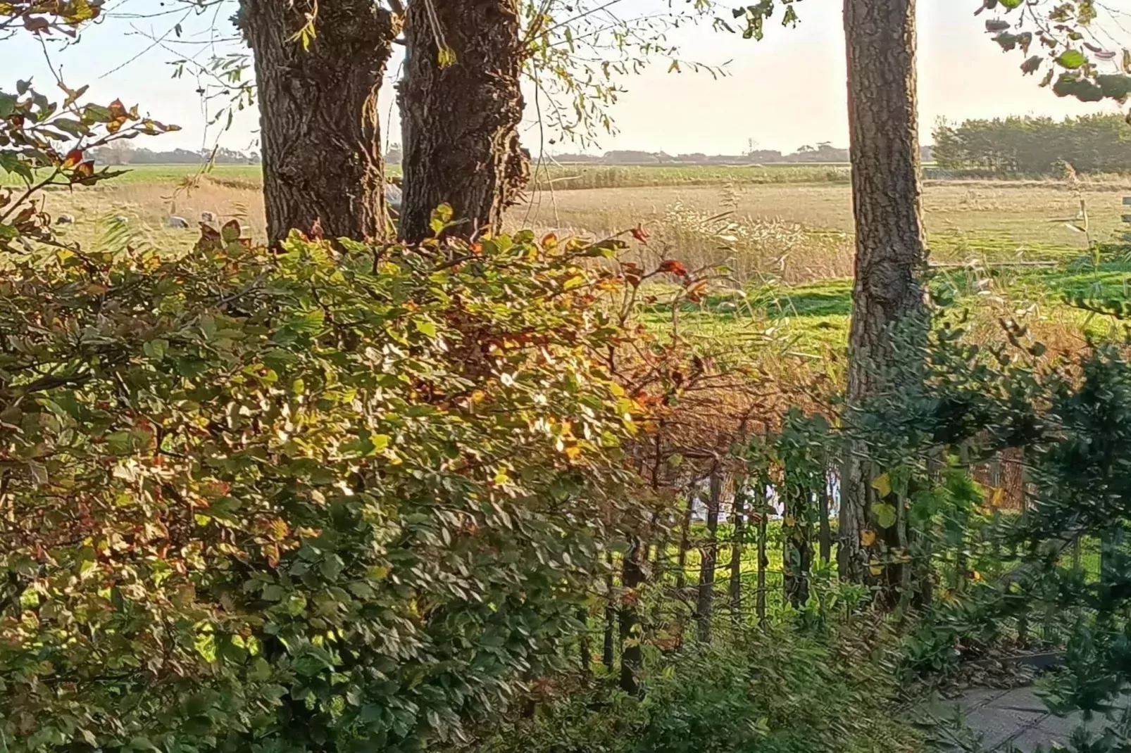 Vogelvrij 3-Eetkamer