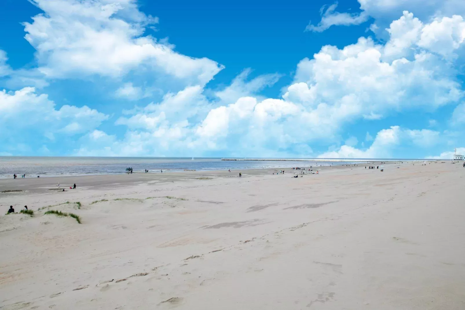 Strand Imperial 0503