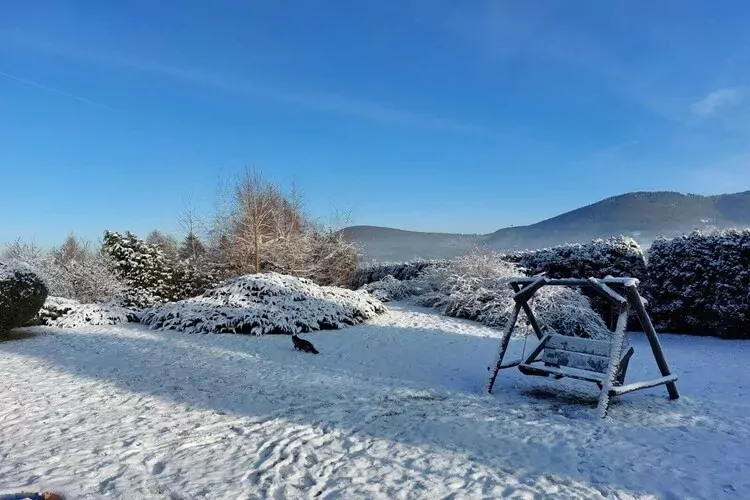 Willa wakacyjna dla 13 osób Brenna-Tuin winter