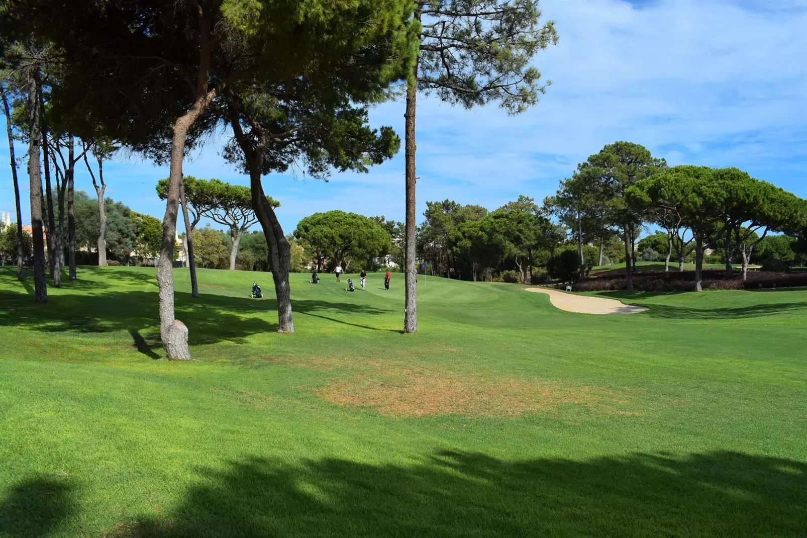 Apmto Villa Sol-Tuinen zomer