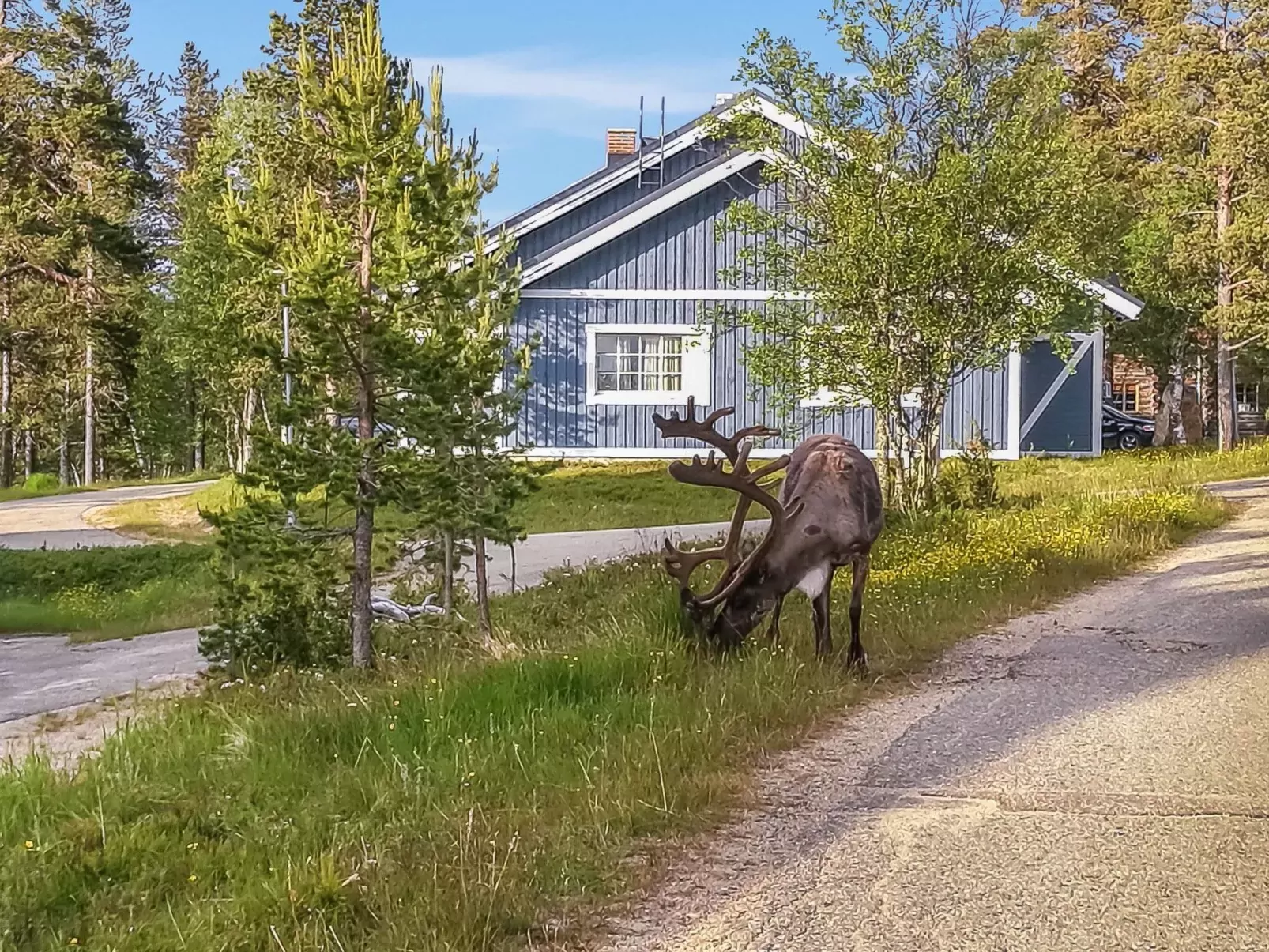 Tunturikuksa-Buiten