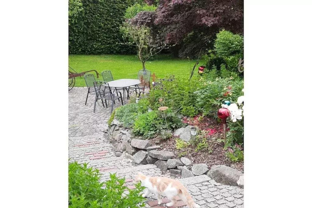 297415-Niet-getagd