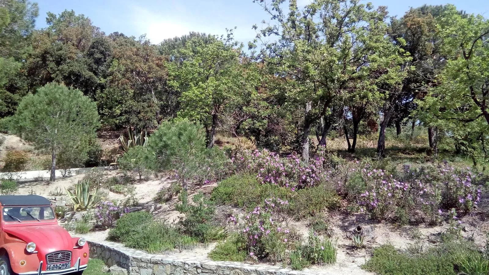 Entre les vignes-Tuinen zomer