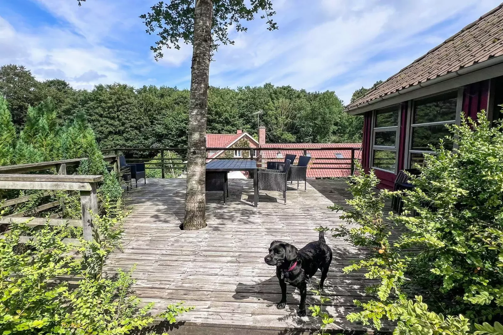6 Personen vakantie huis in Asperup-Buitenlucht