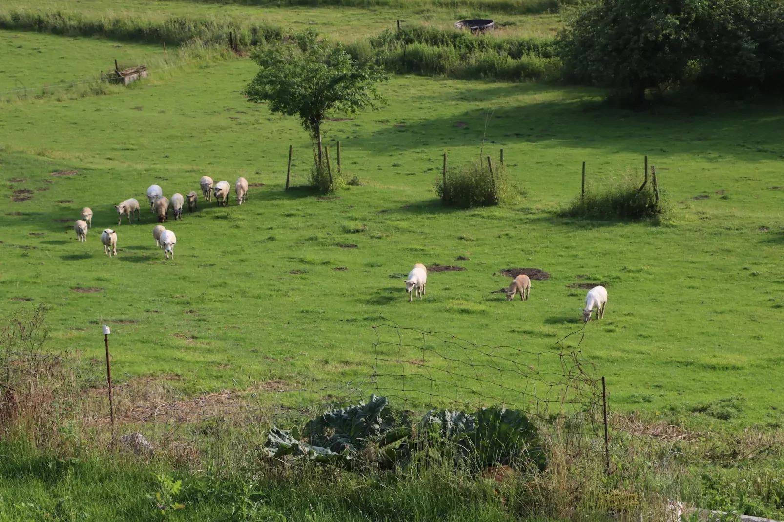 Le Gîte Mariette-Uitzicht zomer
