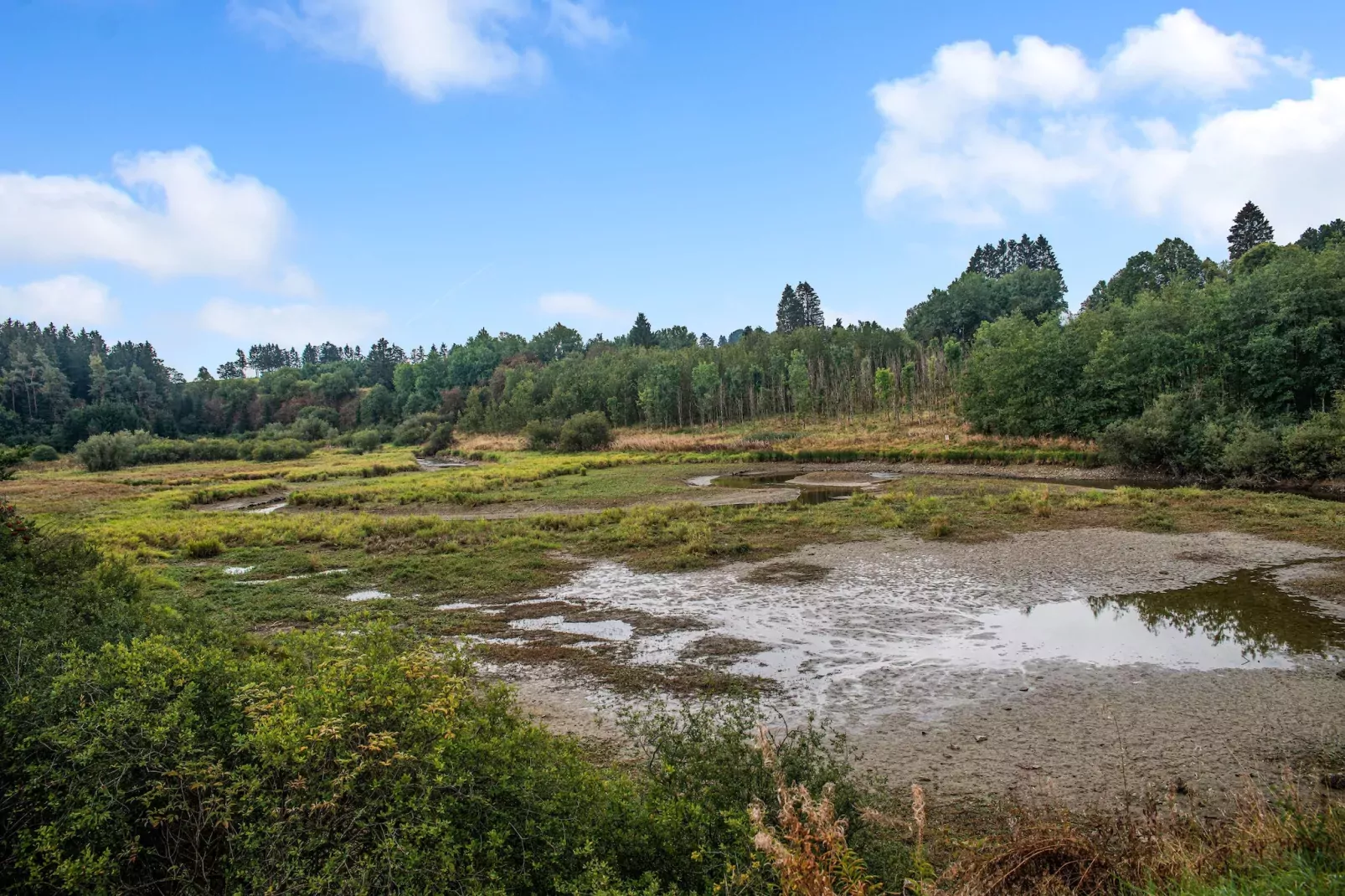 Charmante habitation avec Sauna infrarouge à Wirtzfeld-Uitzicht zomer